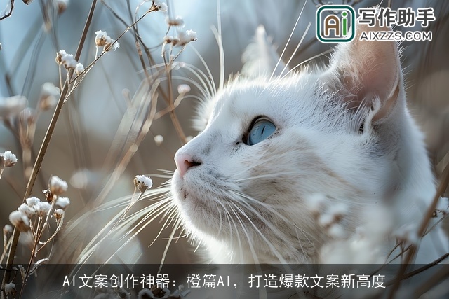 AI文案创作神器：橙篇AI，打造爆款文案新高度