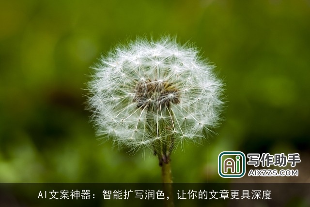 AI文案神器：智能扩写润色，让你的文章更具深度
