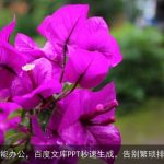 AI赋能办公，百度文库PPT秒速生成，告别繁琐排版！