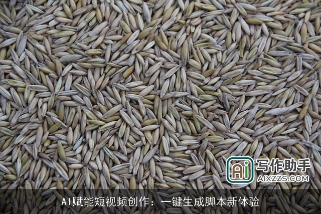 AI赋能短视频创作：一键生成脚本新体验