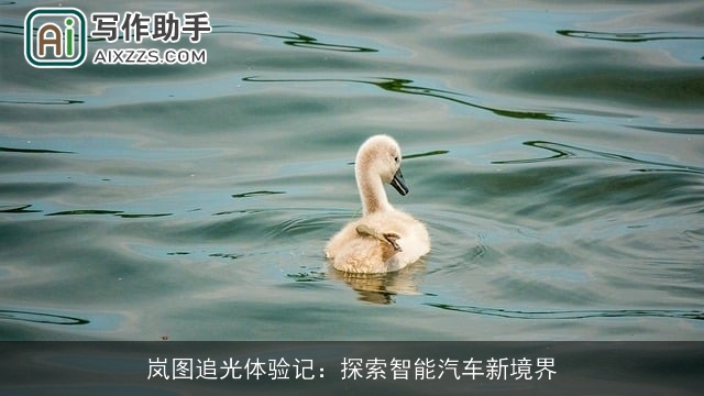 岚图追光体验记：探索智能汽车新境界