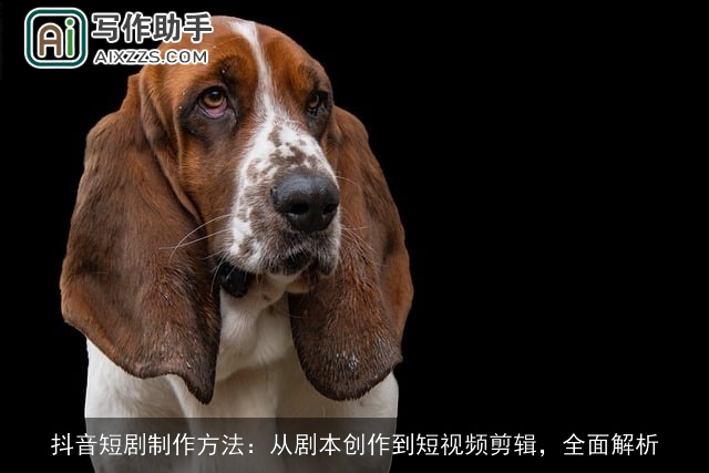 抖音短剧制作方法：从剧本创作到短视频剪辑，全面解析