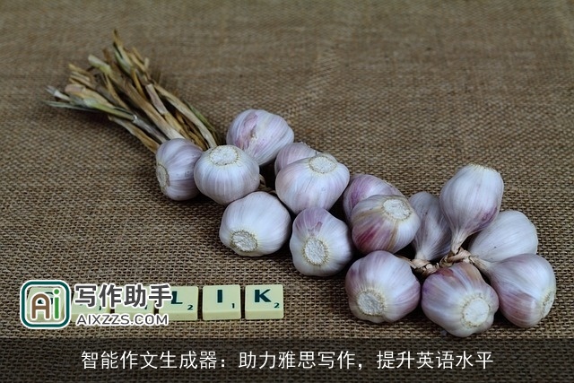 智能作文生成器：助力雅思写作，提升英语水平