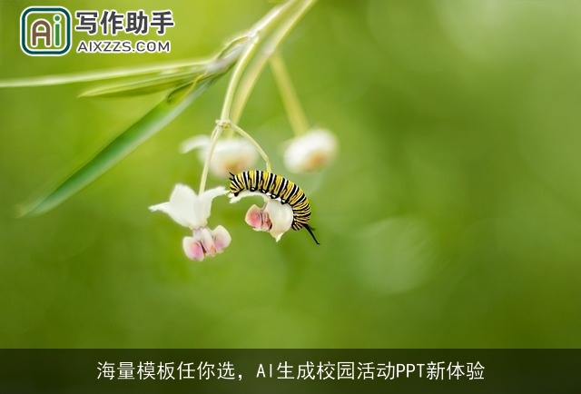 海量模板任你选，AI生成校园活动PPT新体验