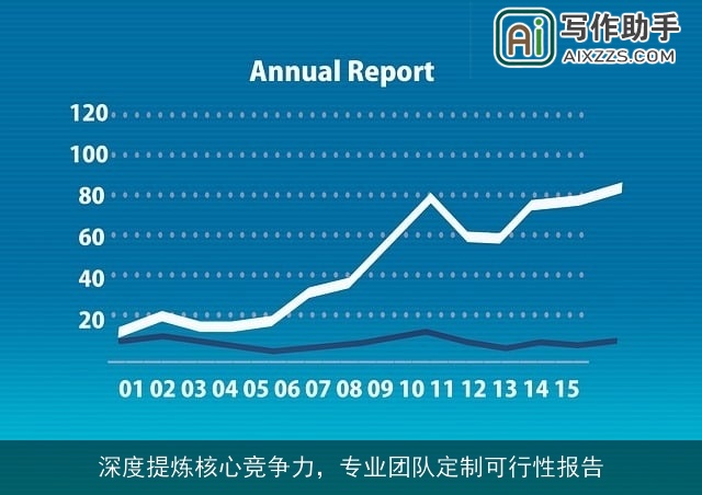 深度提炼核心竞争力，专业团队定制可行性报告