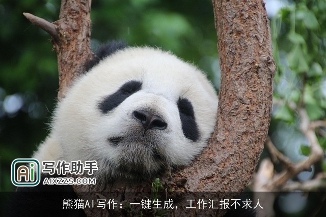 熊猫AI写作：一键生成，工作汇报不求人