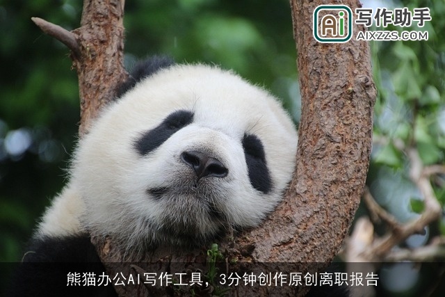 熊猫办公AI写作工具，3分钟创作原创离职报告
