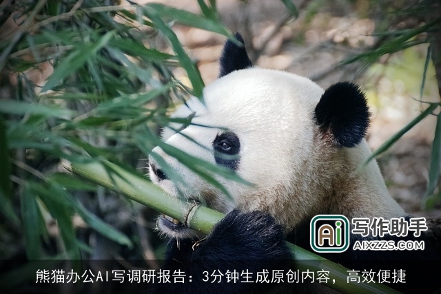 熊猫办公AI写调研报告：3分钟生成原创内容，高效便捷