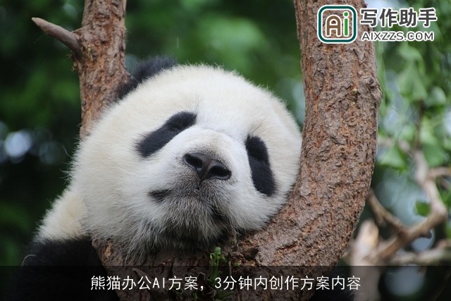 熊猫办公AI方案，3分钟内创作方案内容