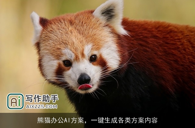 熊猫办公AI方案，一键生成各类方案内容