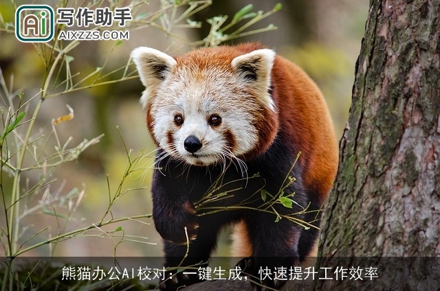 熊猫办公AI校对：一键生成，快速提升工作效率