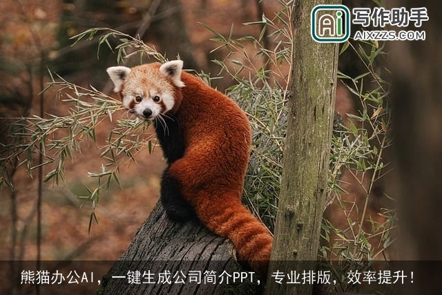 熊猫办公AI，一键生成公司简介PPT，专业排版，效率提升！
