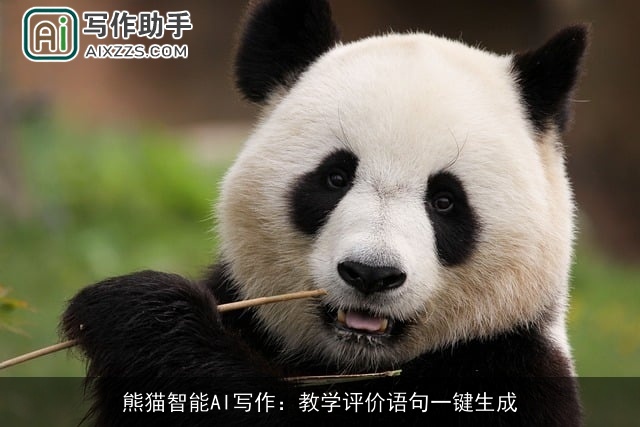 熊猫智能AI写作：教学评价语句一键生成