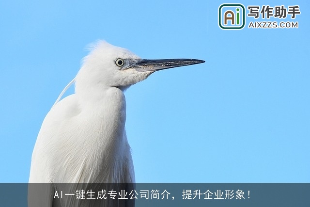 AI一键生成专业公司简介，提升企业形象！