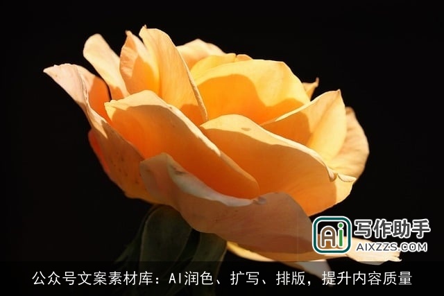 公众号文案素材库：AI润色、扩写、排版，提升内容质量