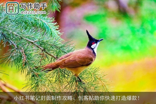 小红书笔记封面制作攻略：创客贴助你快速打造爆款！