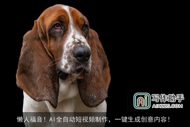 懒人福音！AI全自动短视频制作，一键生成创意内容！