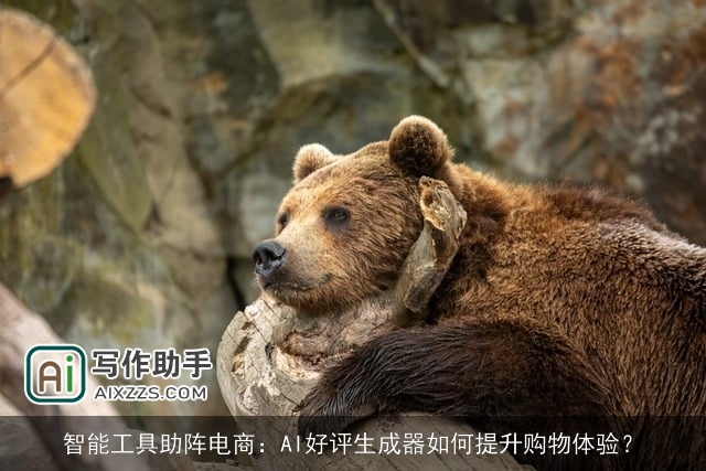 智能工具助阵电商：AI好评生成器如何提升购物体验？