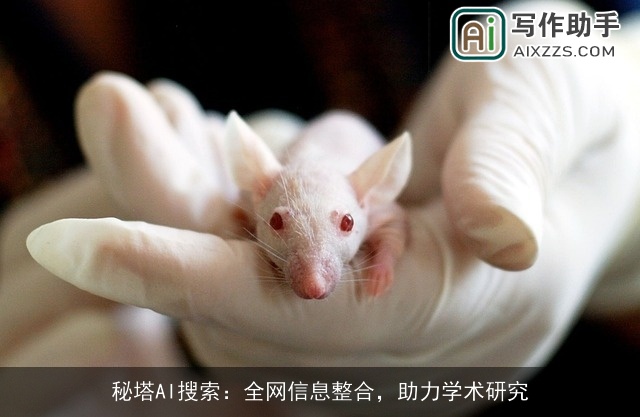 秘塔AI搜索：全网信息整合，助力学术研究