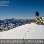 2020生态文明建设调查报告：政策与实践的深度分析