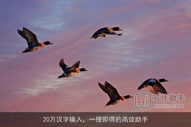 20万汉字输入，一搜即得的高效助手