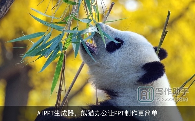 AIPPT生成器，熊猫办公让PPT制作更简单
