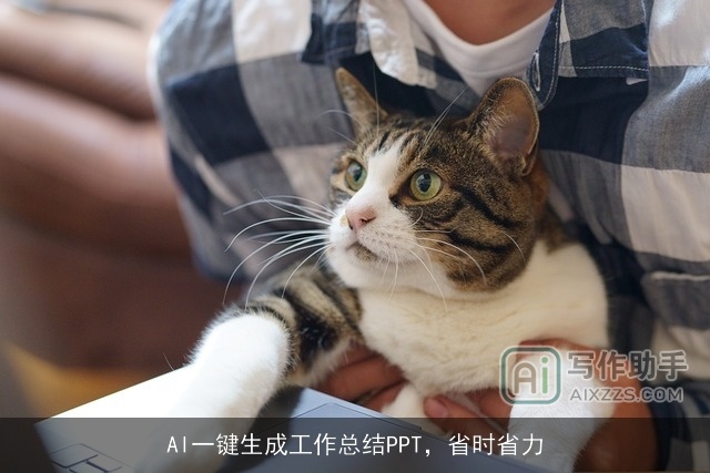 AI一键生成工作总结PPT，省时省力