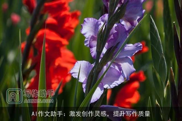 AI作文助手：激发创作灵感，提升写作质量