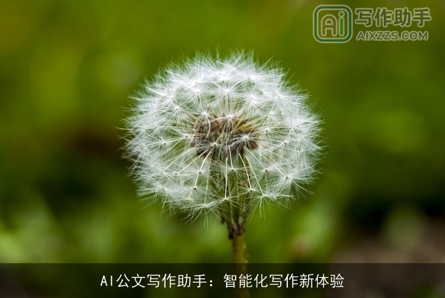 AI公文写作助手：智能化写作新体验