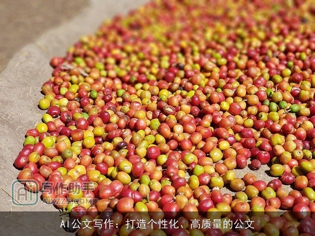 AI公文写作：打造个性化、高质量的公文