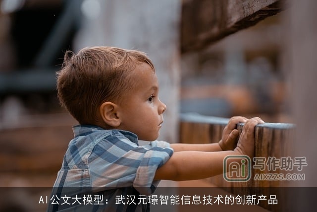 AI公文大模型：武汉元璟智能信息技术的创新产品