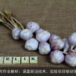 AI写作全解析：涵盖前沿技术，实战项目驱动学习