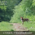 AI写作助手：个性化创作的得力伙伴