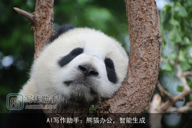 AI写作助手：熊猫办公，智能生成