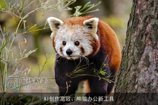 AI创作高效：熊猫办公新工具