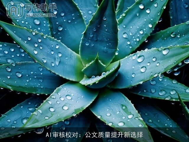 AI审核校对：公文质量提升新选择