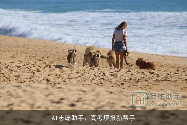 AI志愿助手：高考填报新帮手