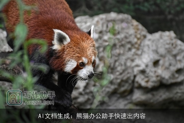 AI文档生成：熊猫办公助手快速出内容