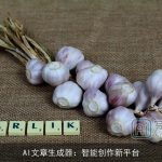 AI文章生成器：智能创作新平台