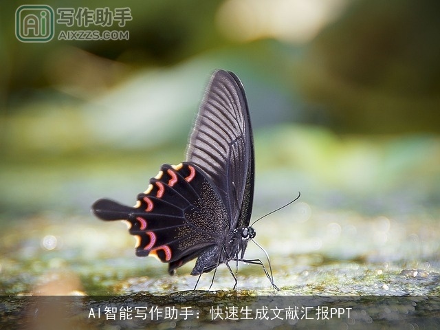 AI智能写作助手：快速生成文献汇报PPT