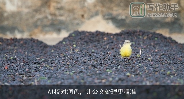 AI校对润色，让公文处理更精准