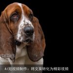 AI短视频制作：将文案转化为精彩视频