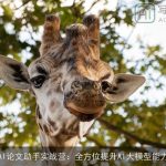 AI论文助手实战营：全方位提升AI大模型能力