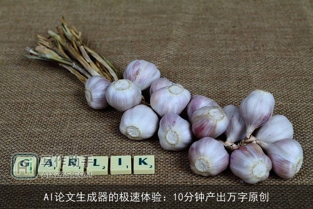 AI论文生成器的极速体验：10分钟产出万字原创