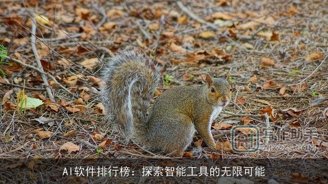 AI软件排行榜：探索智能工具的无限可能