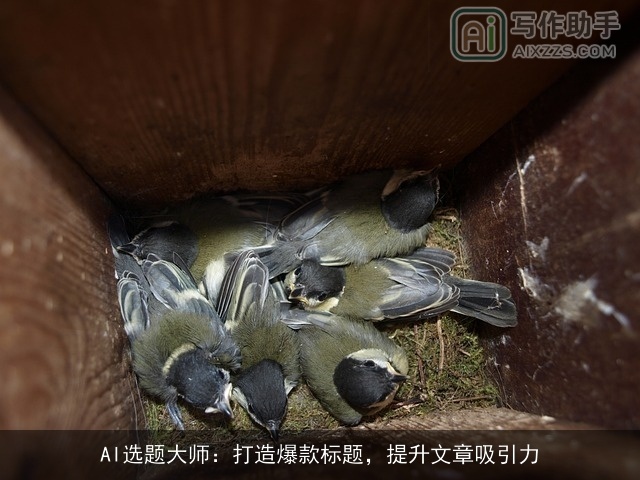 AI选题大师：打造爆款标题，提升文章吸引力