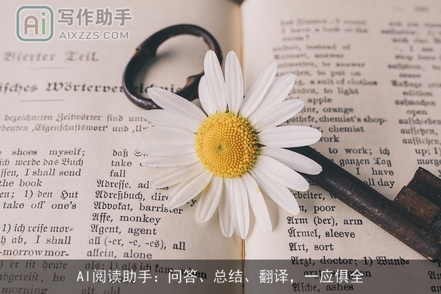 AI阅读助手：问答、总结、翻译，一应俱全