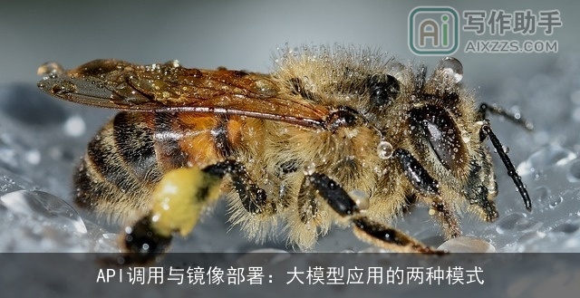 API调用与镜像部署：大模型应用的两种模式