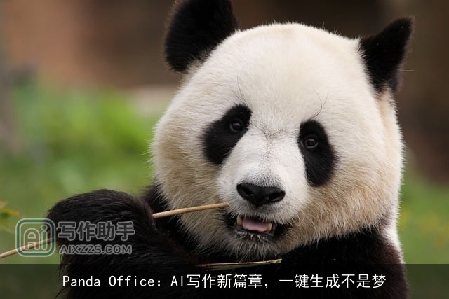 Panda Office：AI写作新篇章，一键生成不是梦