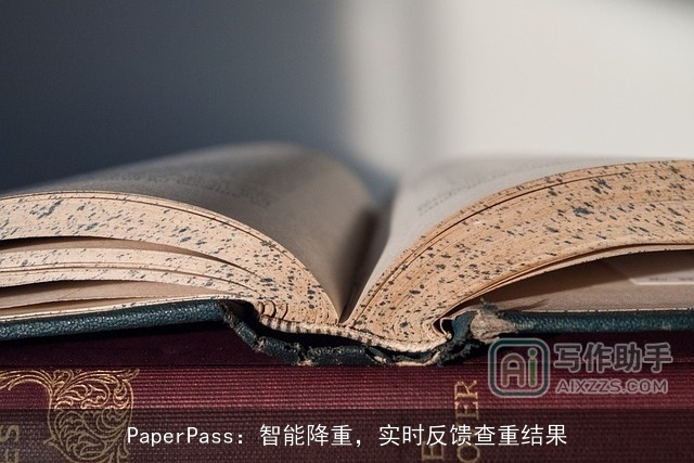 PaperPass：智能降重，实时反馈查重结果